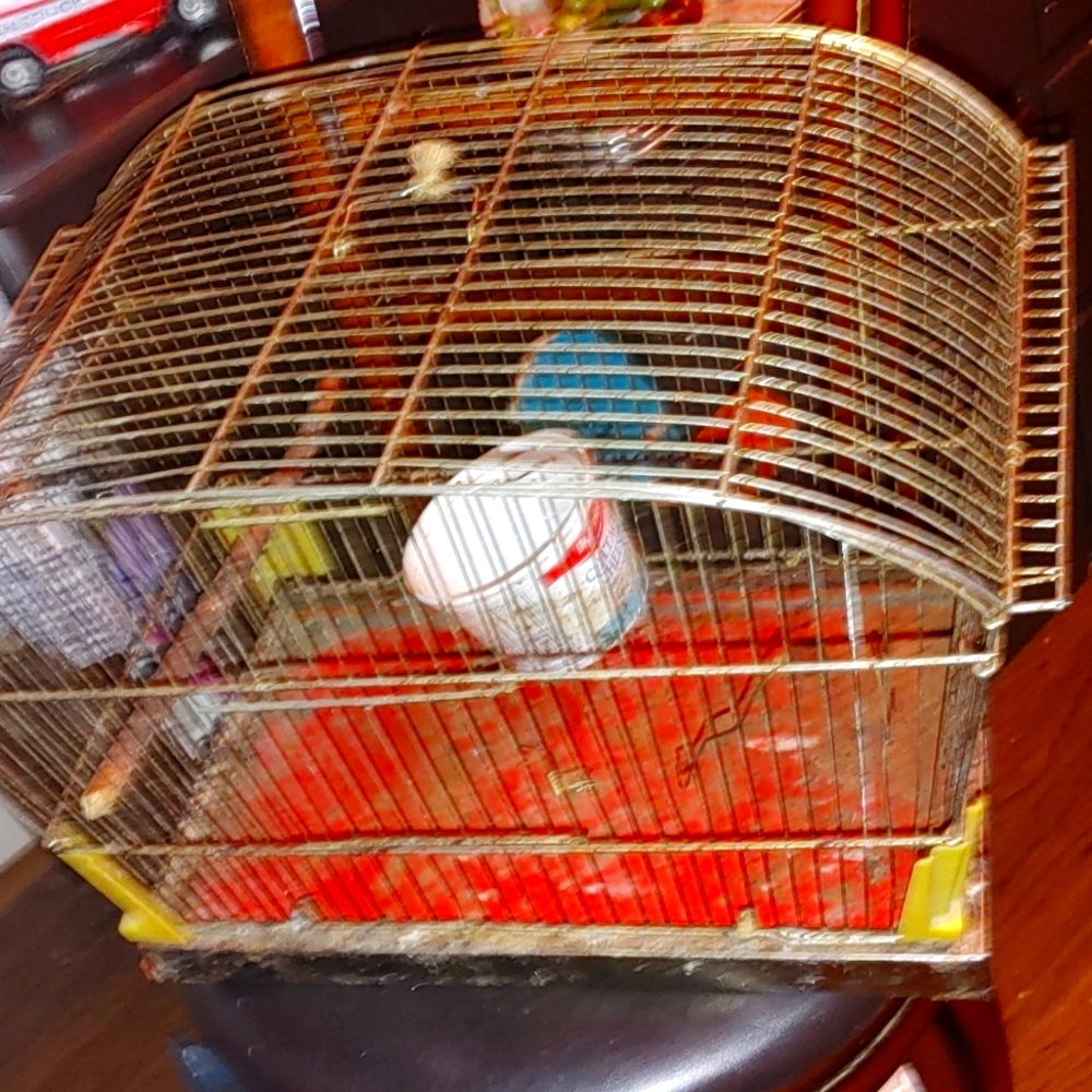 BIRD CAGE WITH SPRING LOADED DOOR